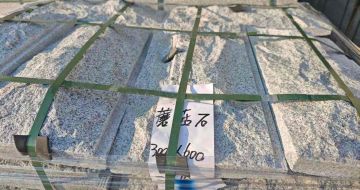 呼伦贝尔芝麻白蘑菇石，自然面