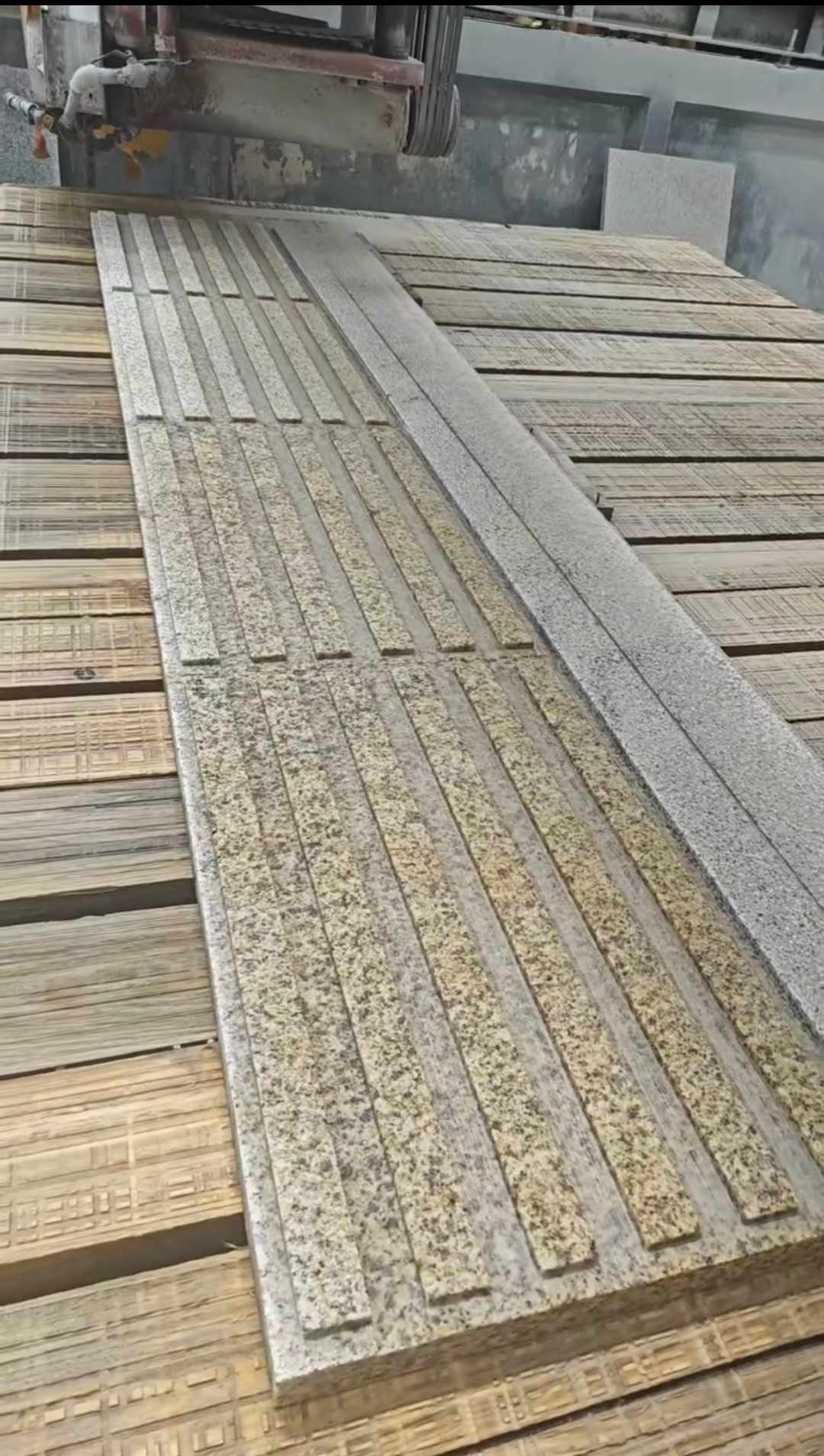 呼伦贝尔黄金麻盲道石 盲条